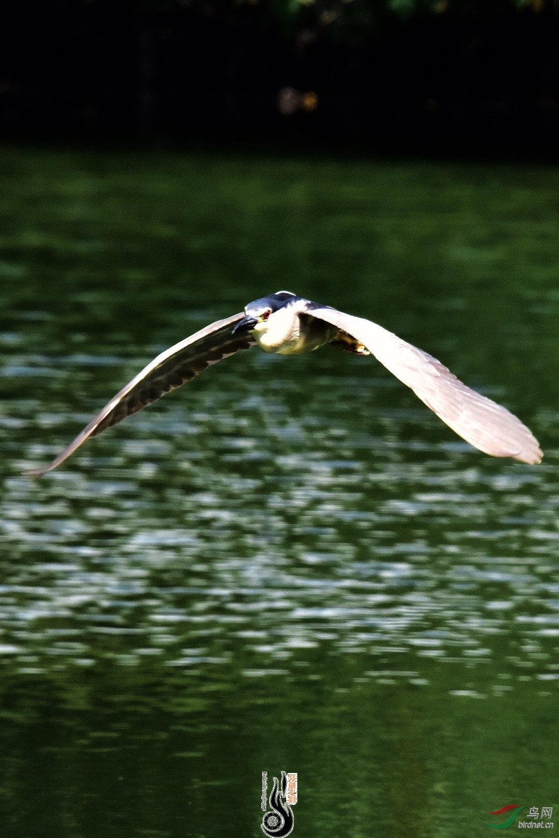 DSC_5099.JPG