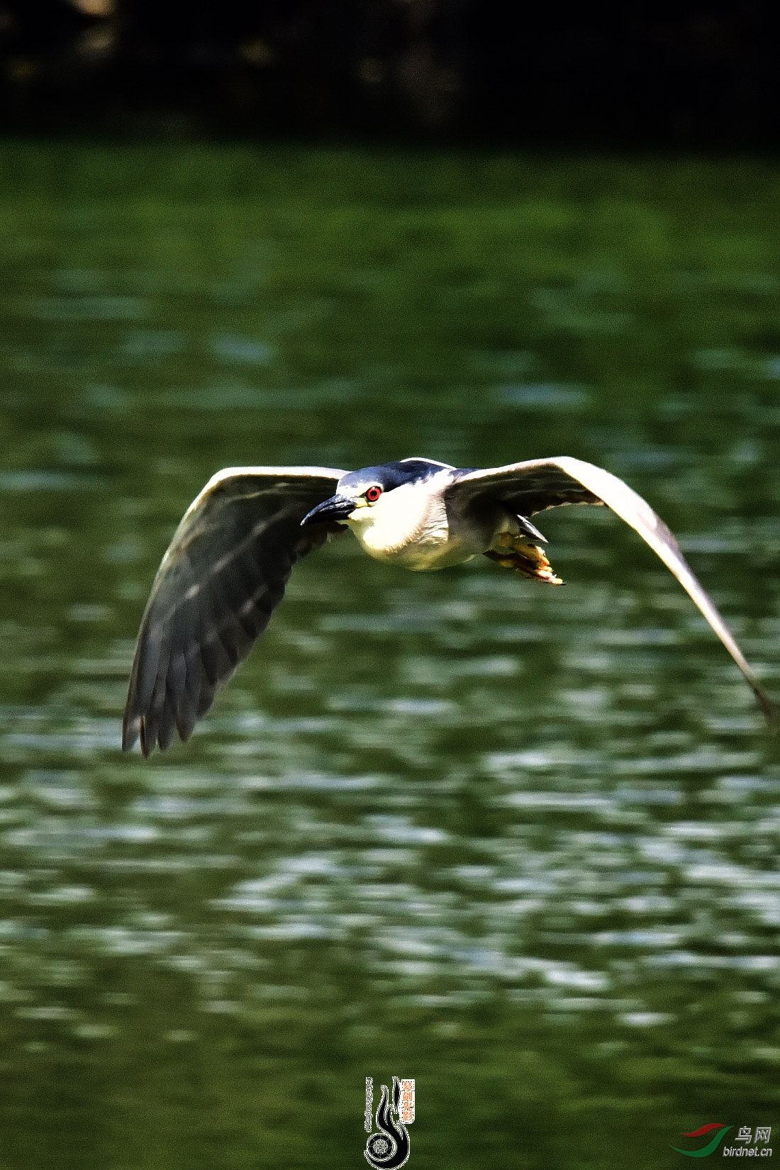 DSC_5100.JPG