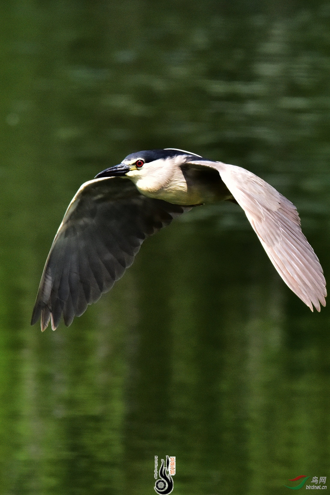 DSC_5105.JPG