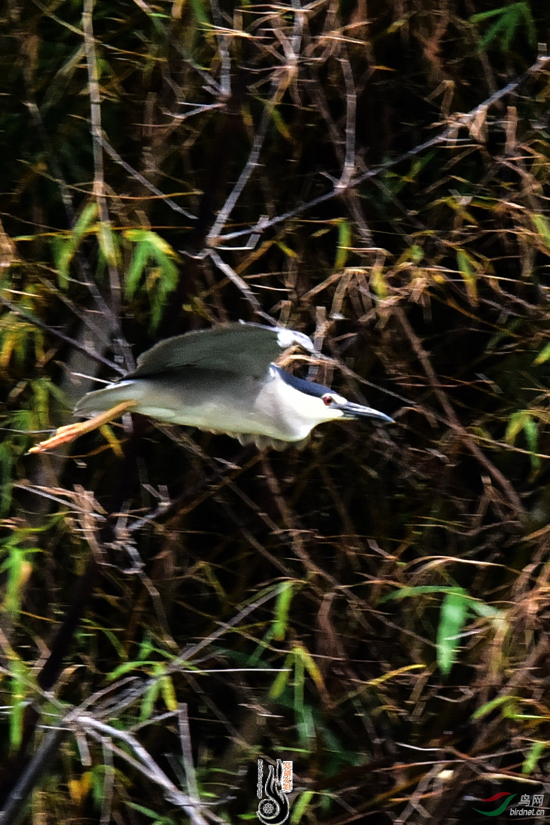 DSC_5134.JPG