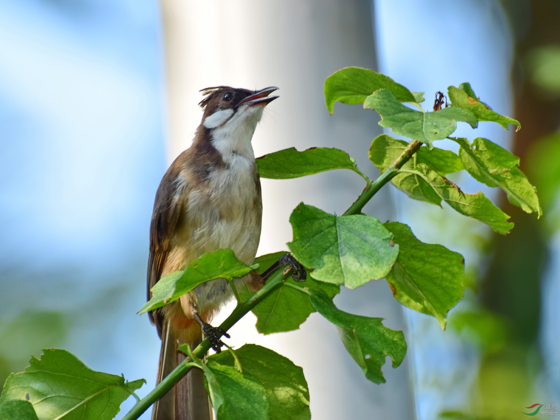 DSC_1213.JPG