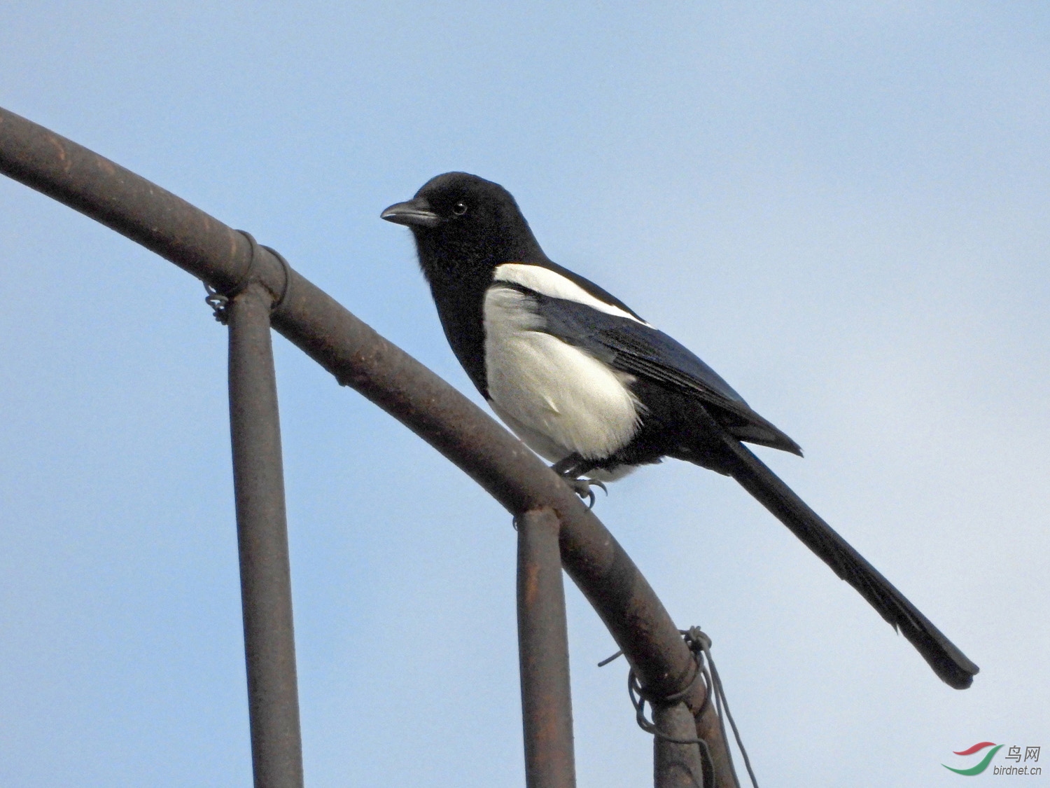 DSCN5143 ����2.jpg