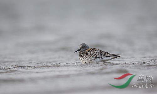 AM3T5992.jpg~s.jpg