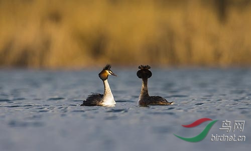 ET2W0135.jpg