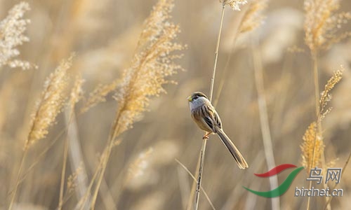 AM3T1351.jpg