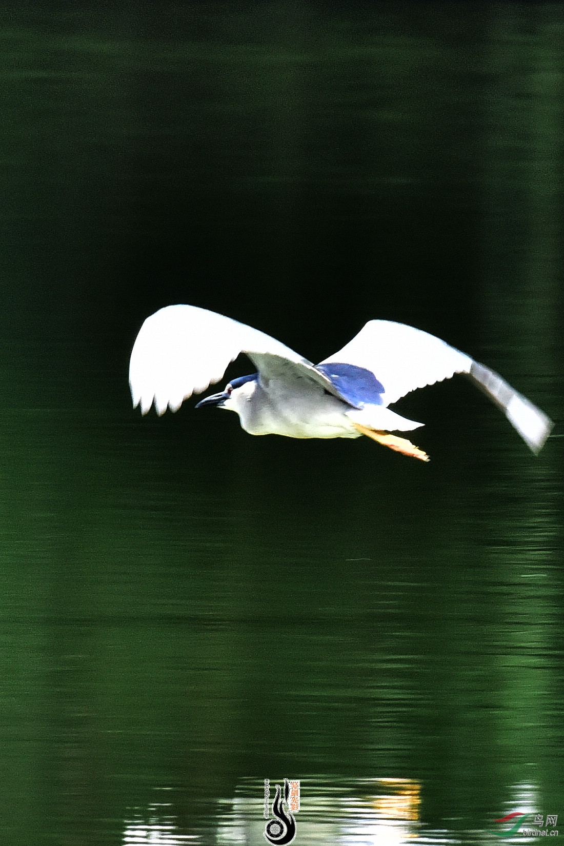DSC_5151.JPG