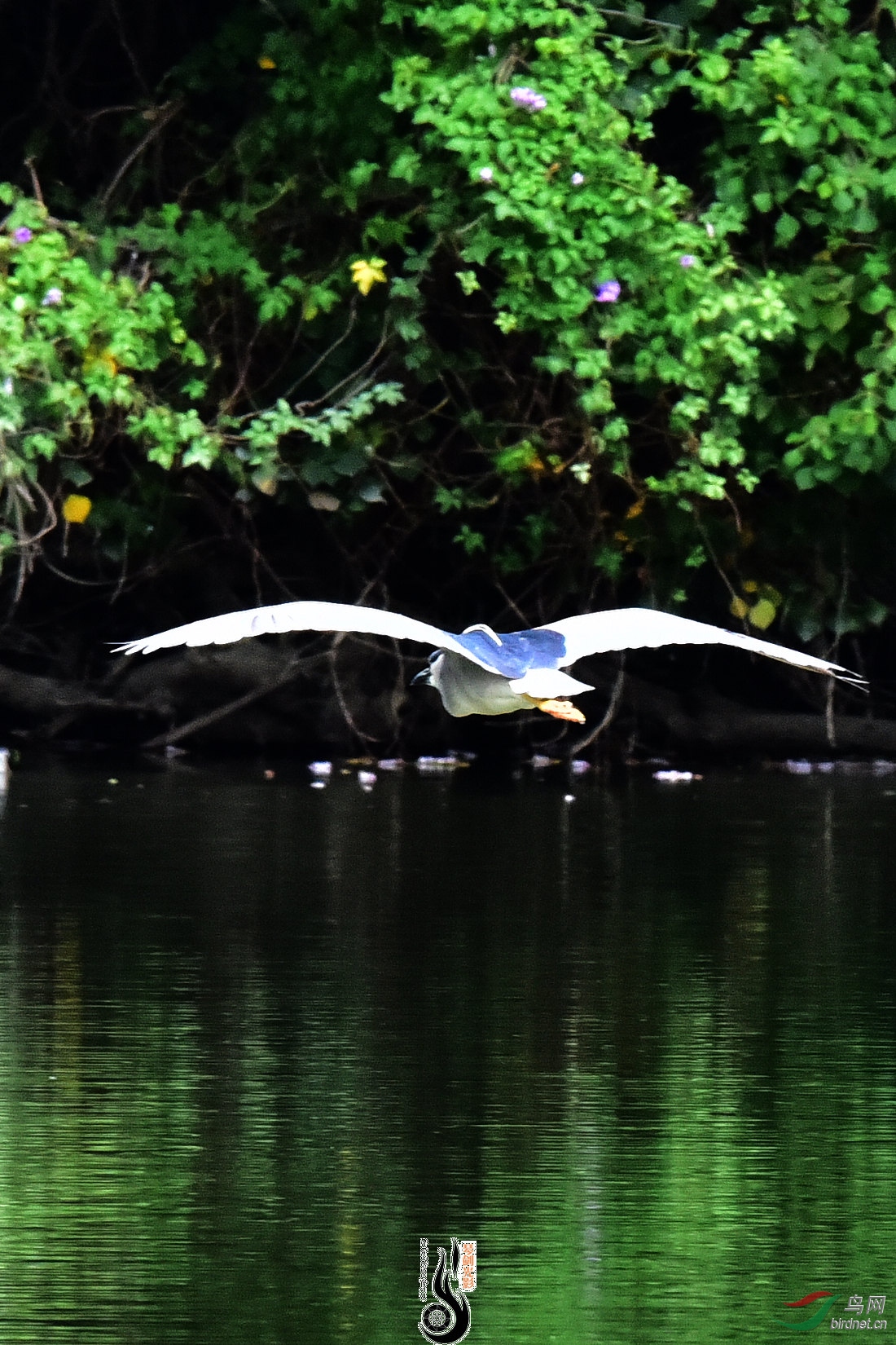 DSC_5154.JPG