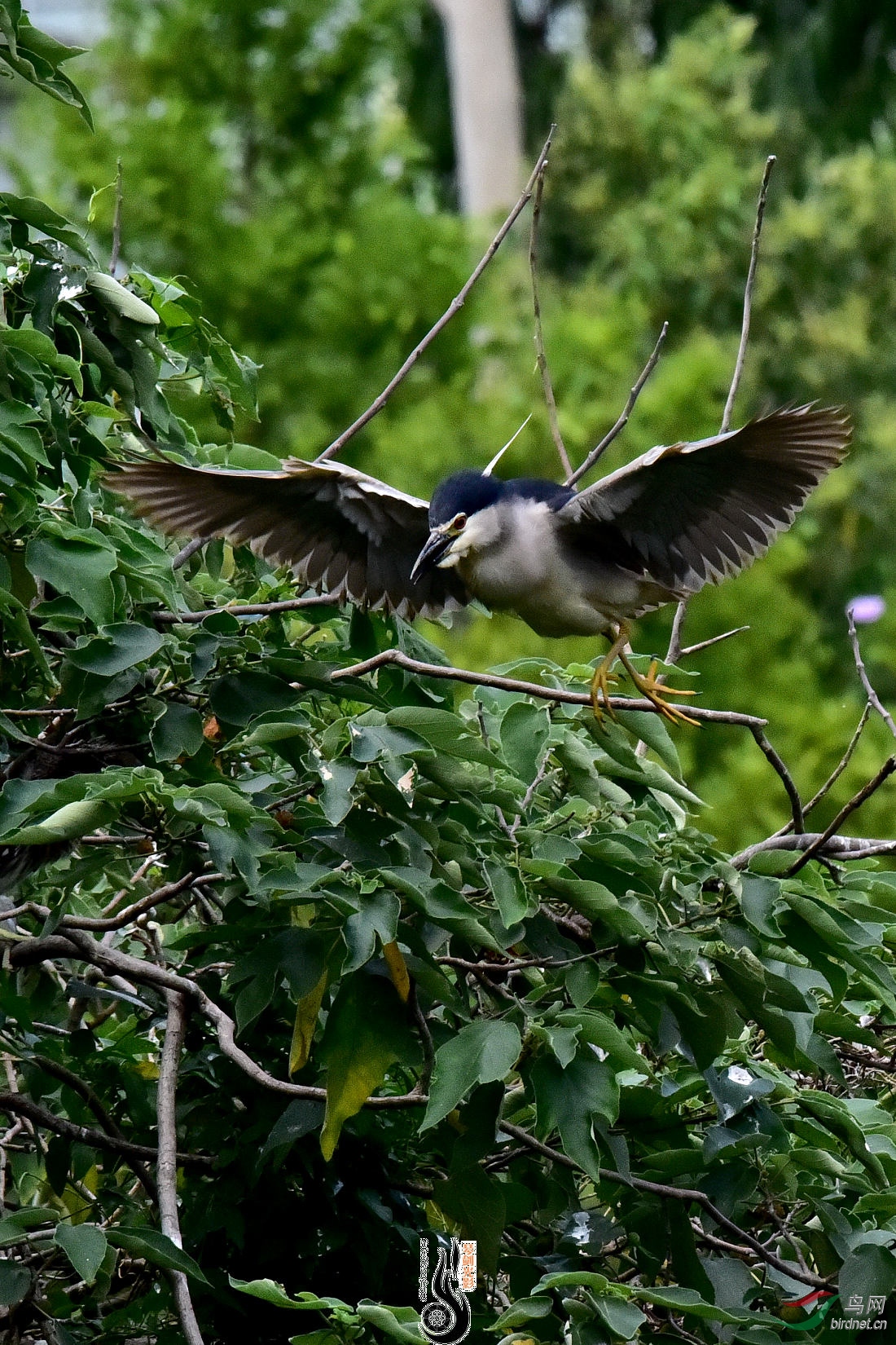 DSC_5183.JPG