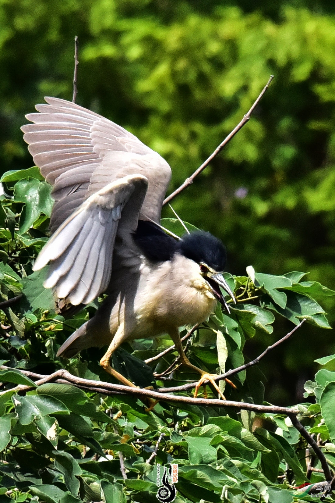 DSC_5204.JPG