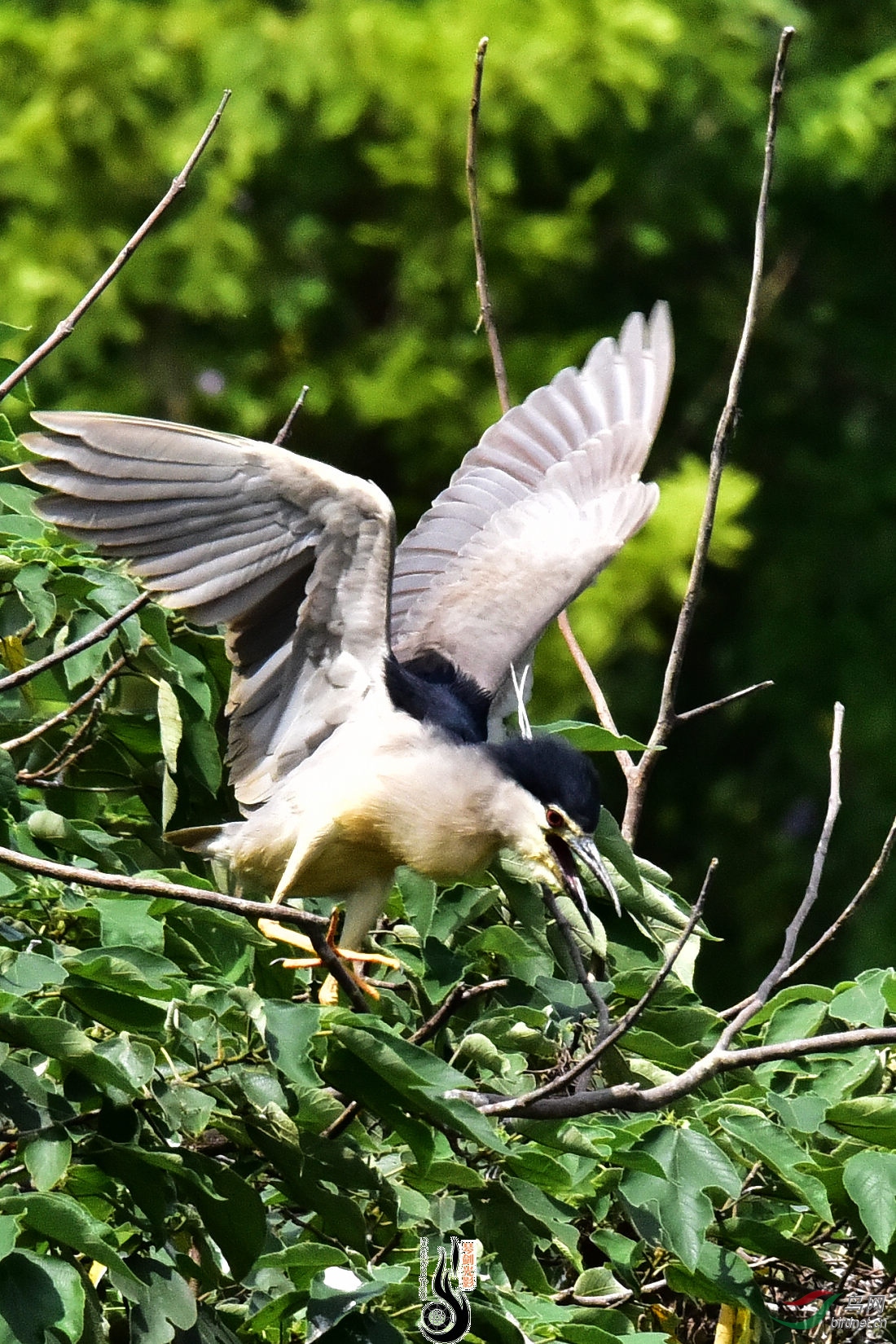 DSC_5207.JPG