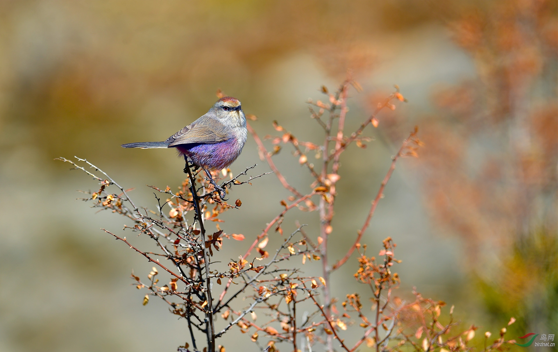 _RAW3577_DxO-1hcqy.jpg