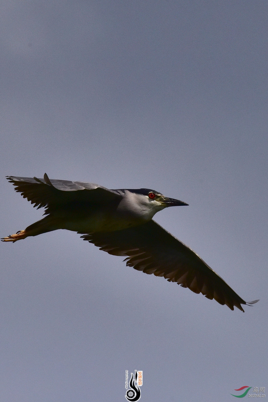 DSC_5240.JPG