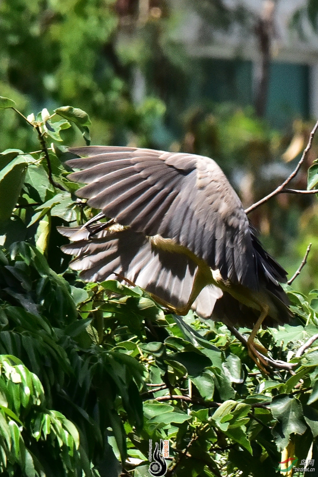 DSC_5244.JPG