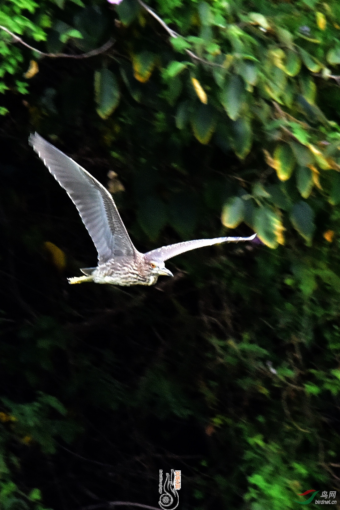 DSC_5314.JPG