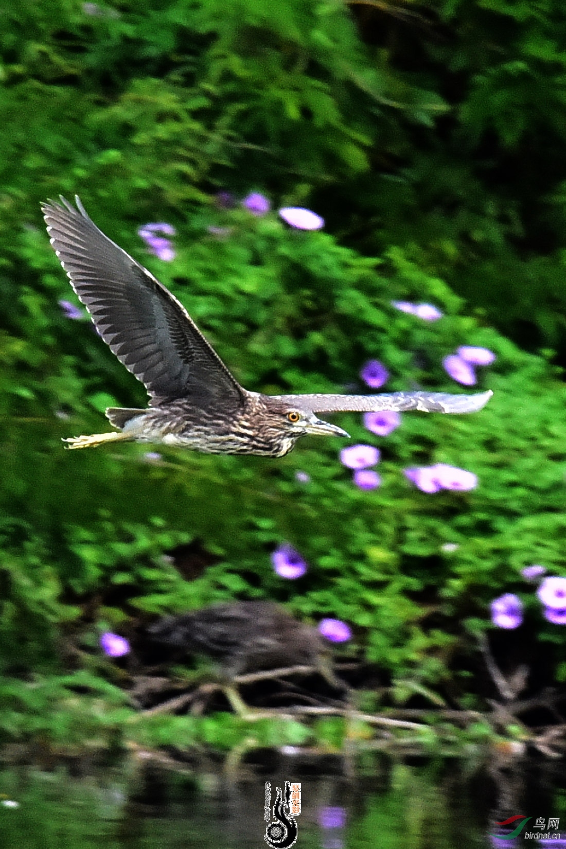DSC_5315.JPG