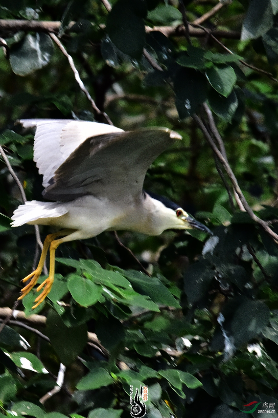 DSC_5356.JPG