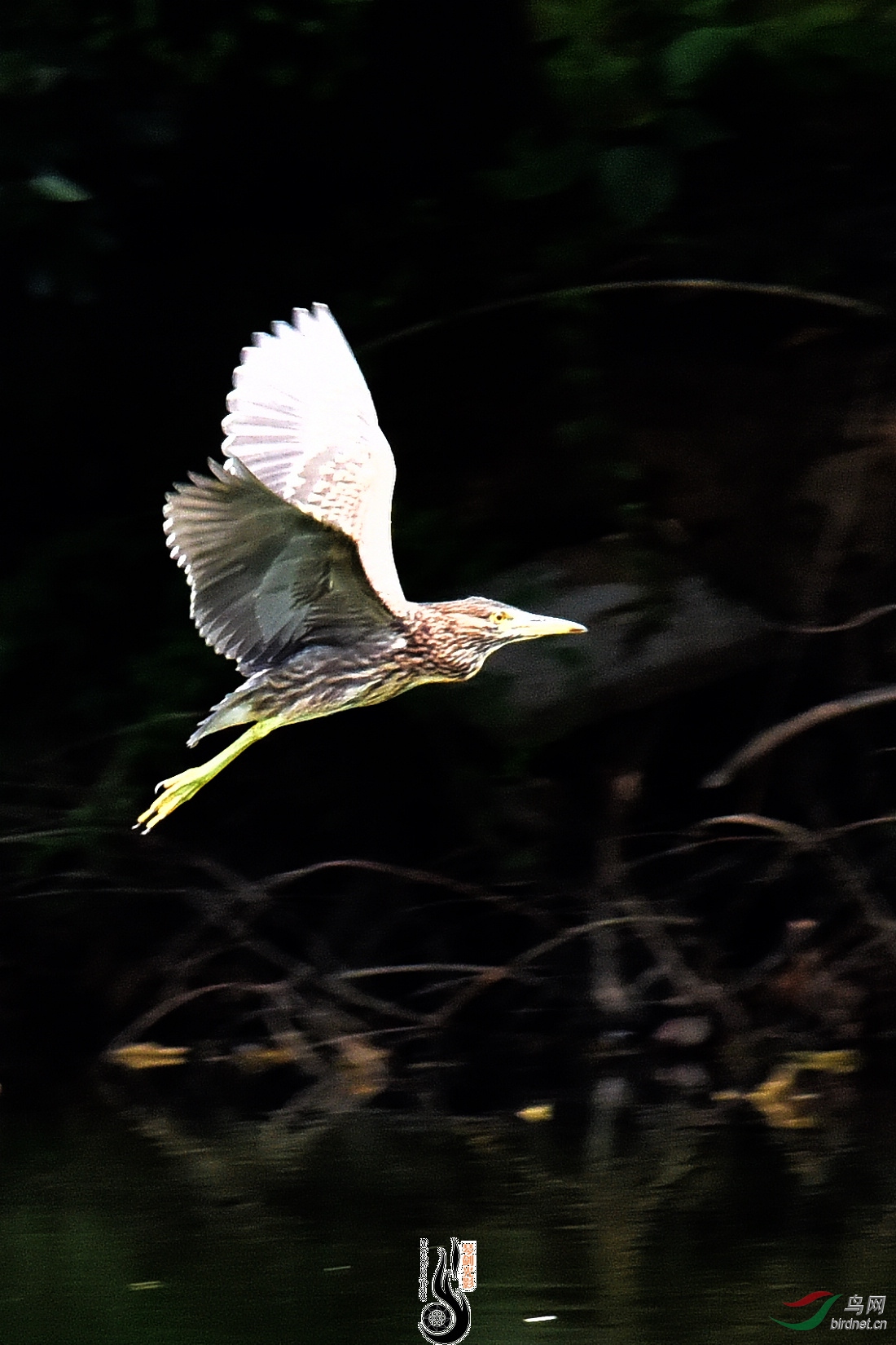DSC_5360.JPG