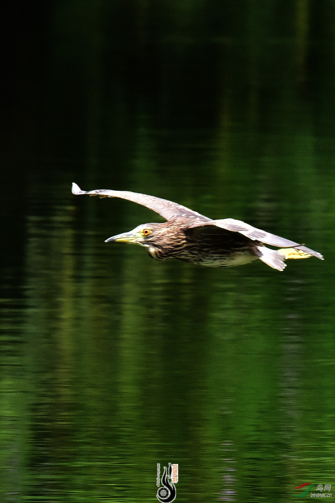 DSC_5373.JPG