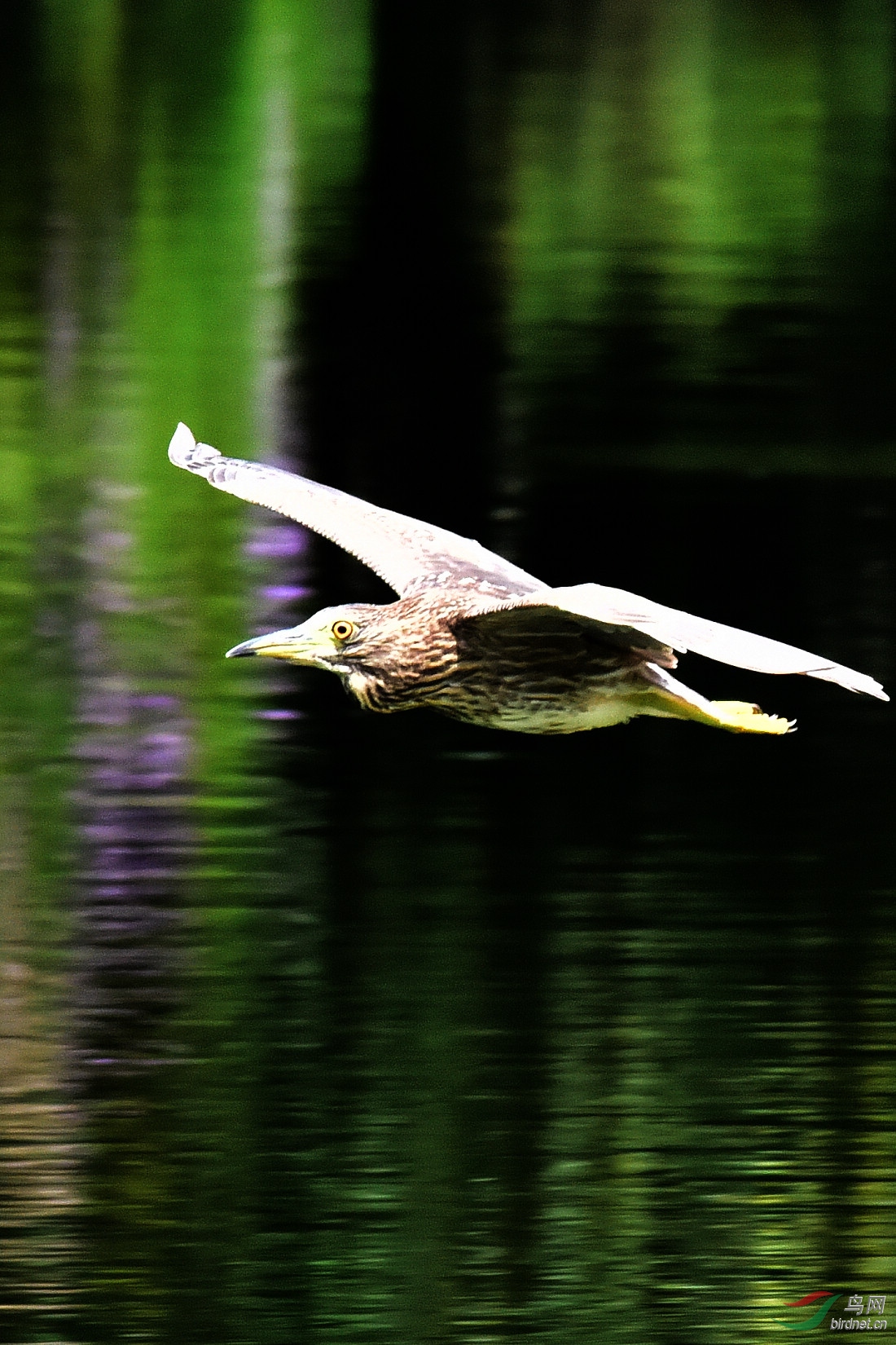 DSC_5374.JPG