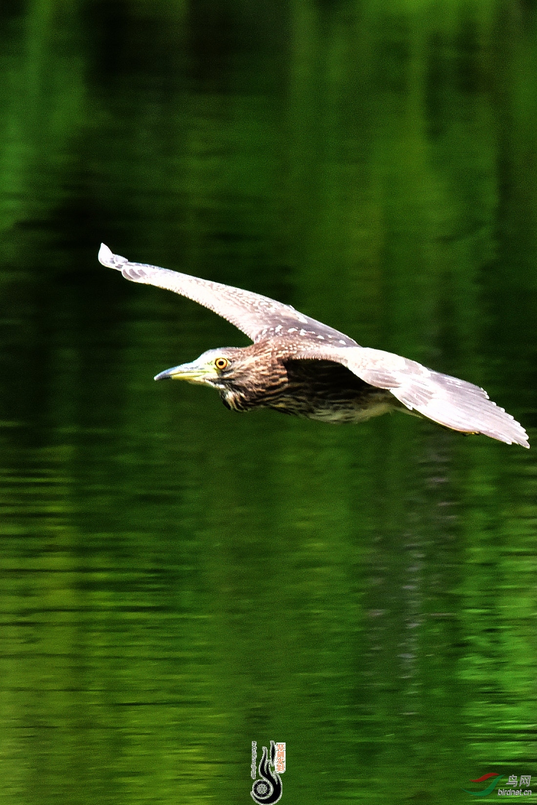 DSC_5376.JPG