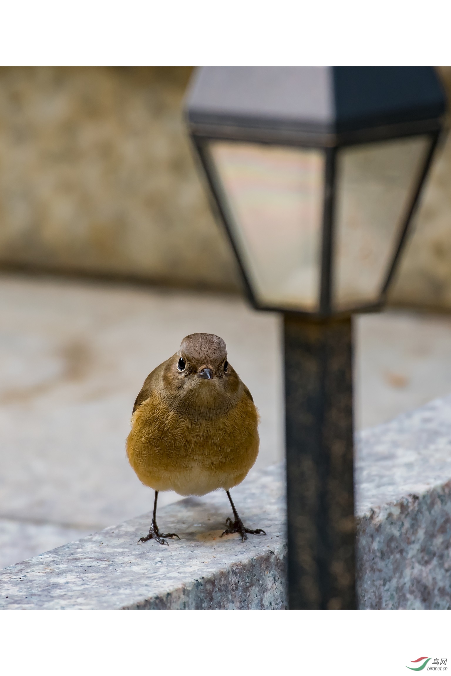 5���в���