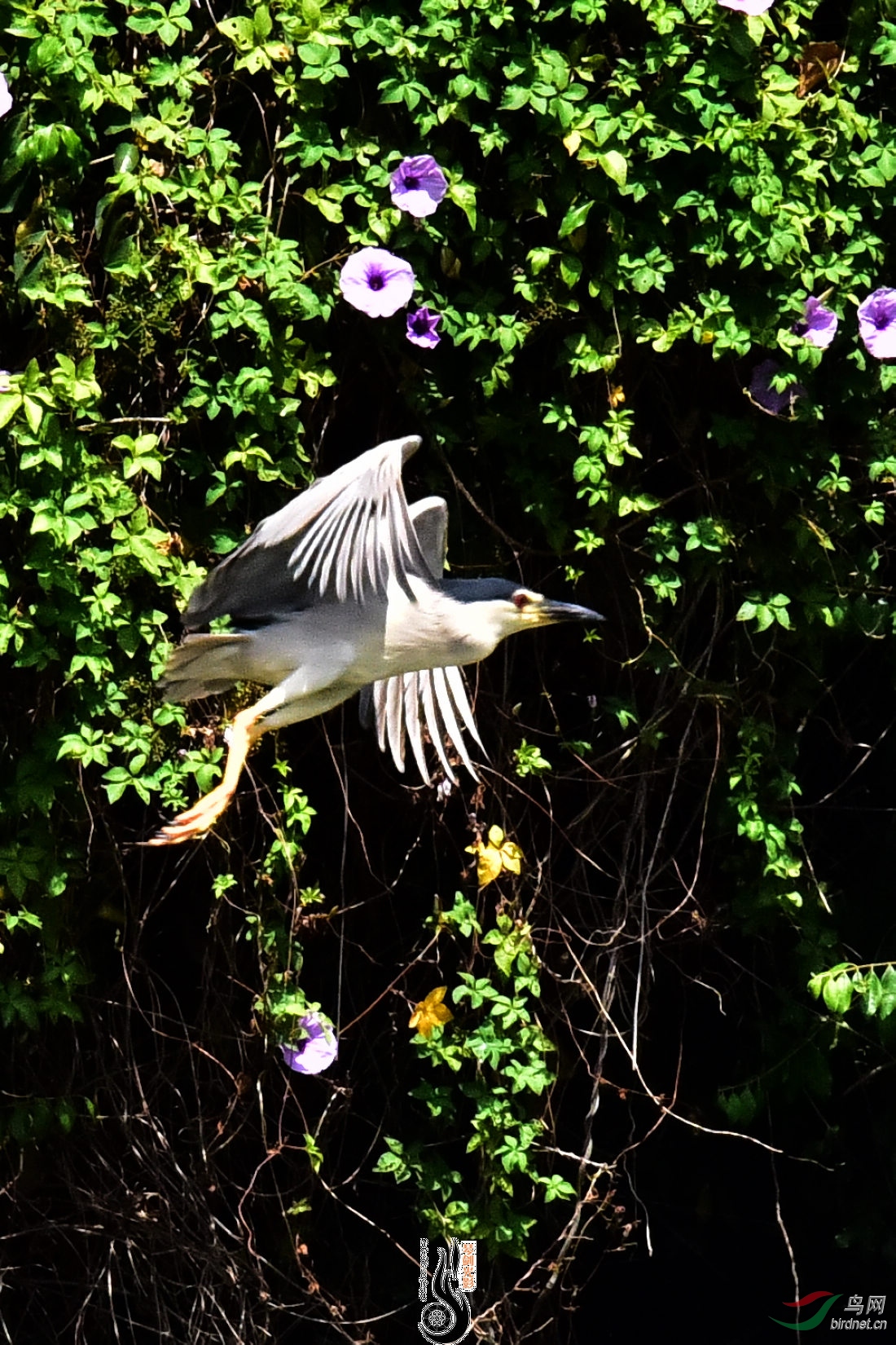 DSC_5399.JPG