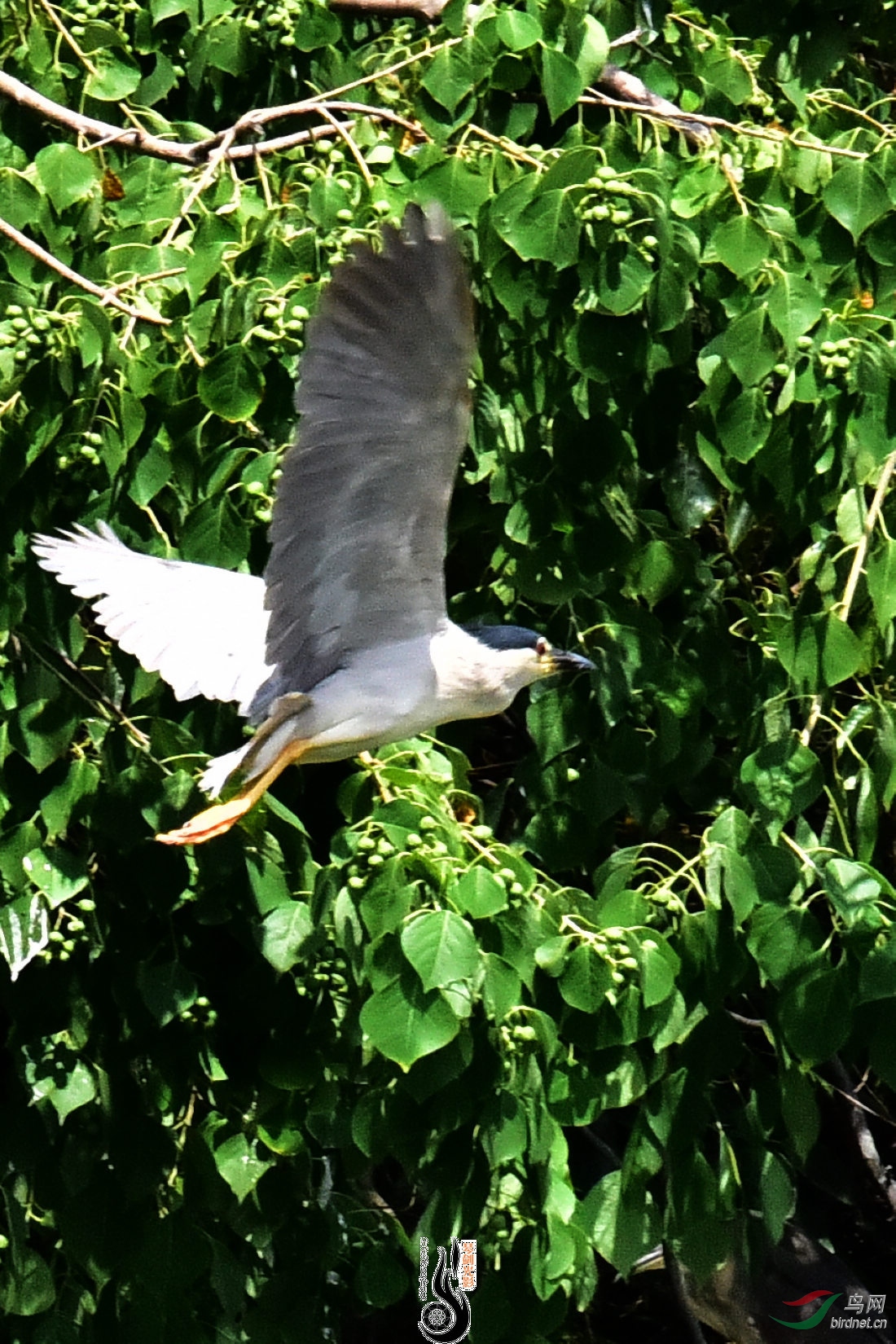 DSC_5400.JPG