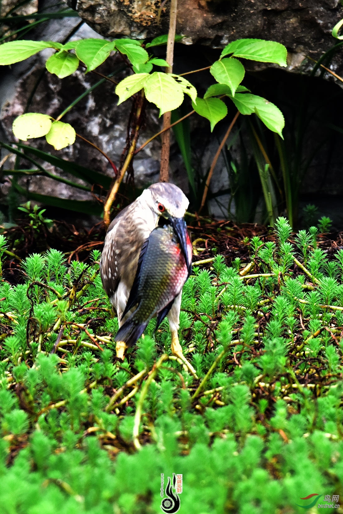 DSC_5410.JPG
