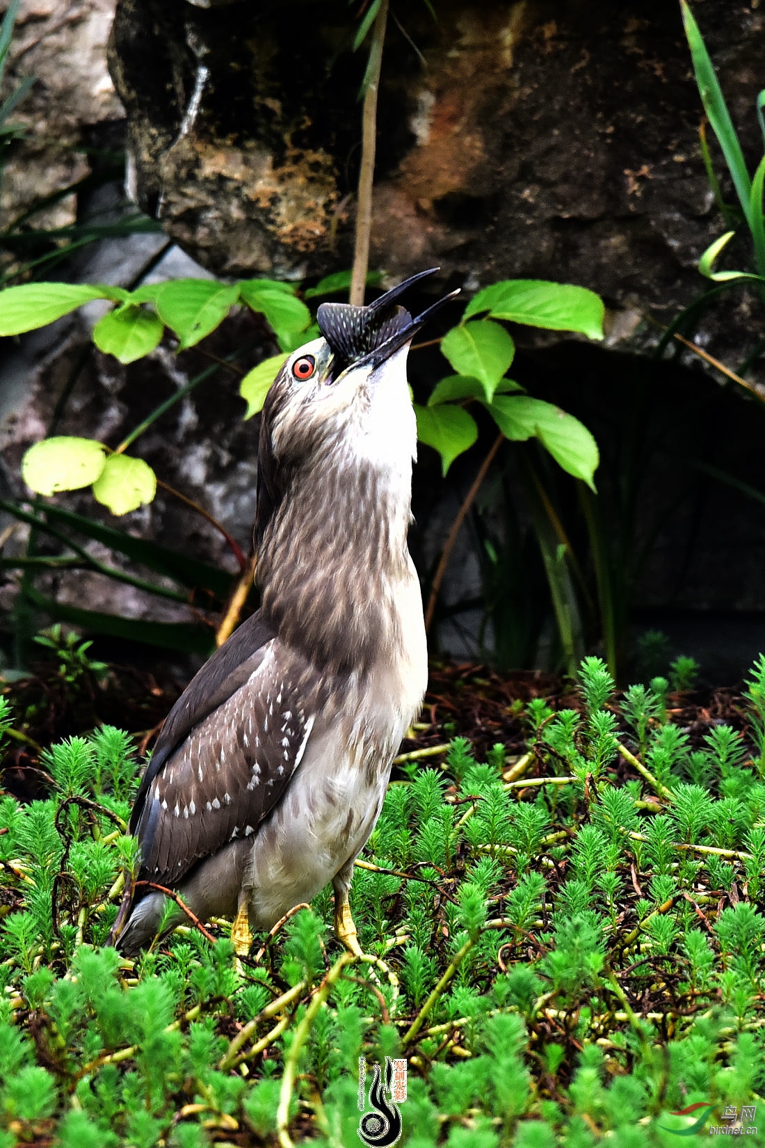 DSC_5428.JPG