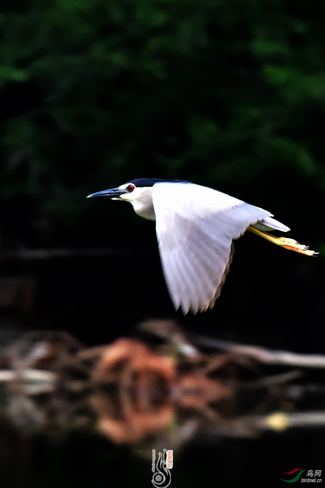 DSC_5429.JPG