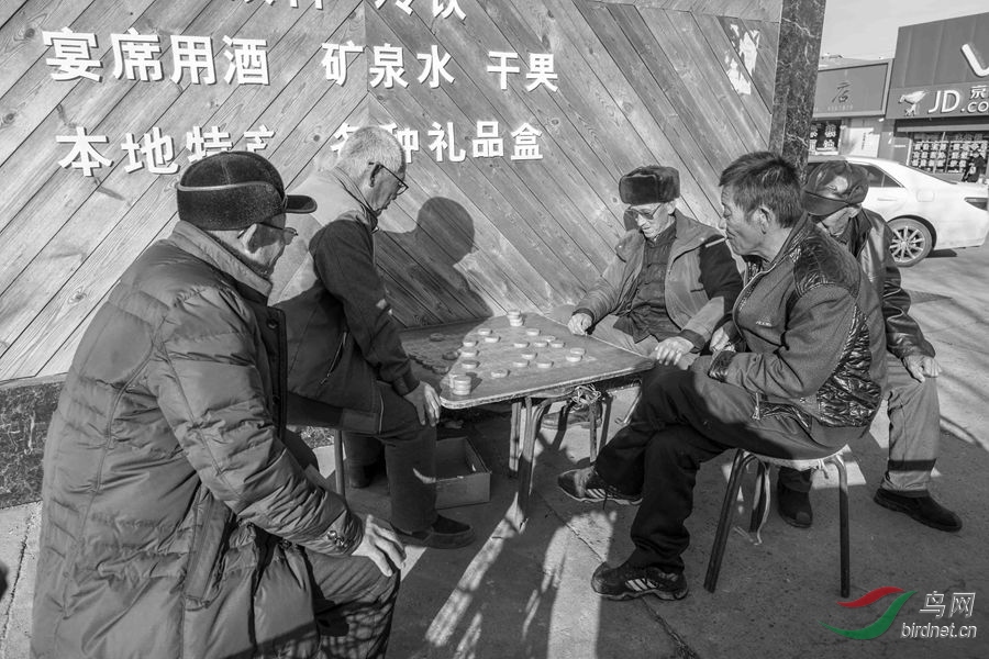 拍摄于内蒙古阿荣旗音河乡