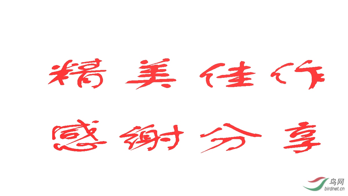 ����02 (2).jpg