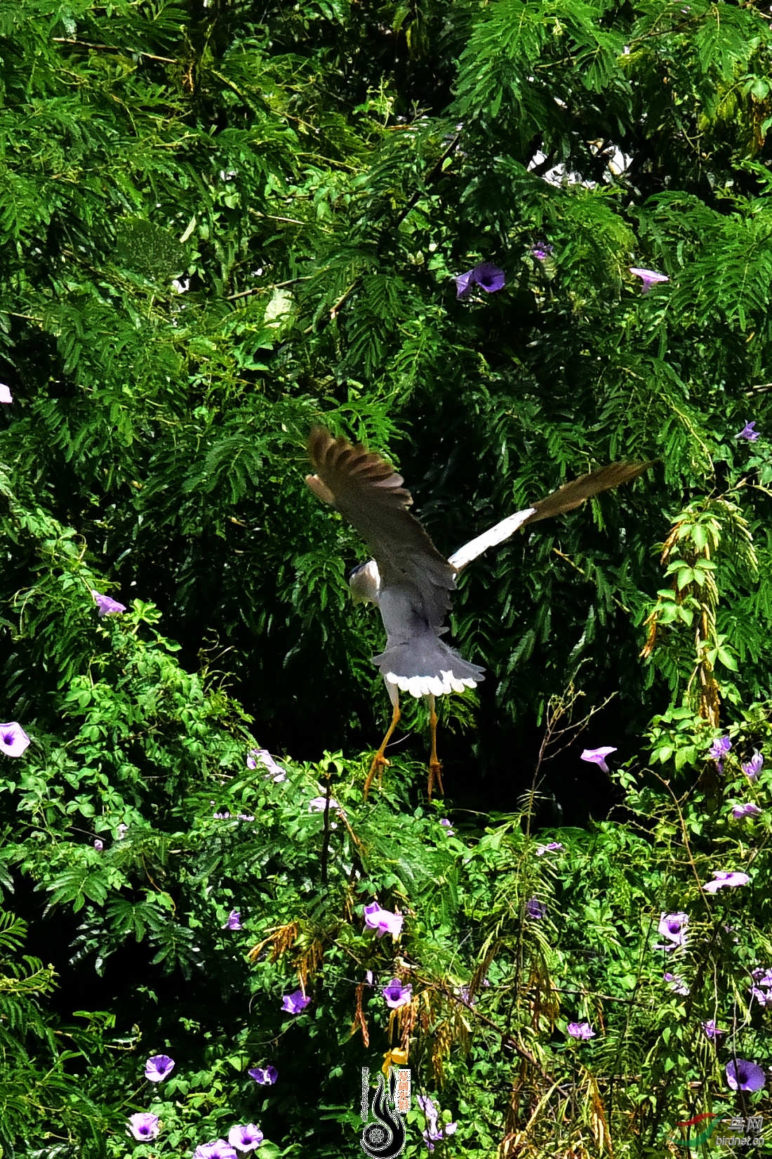DSC_5437.JPG