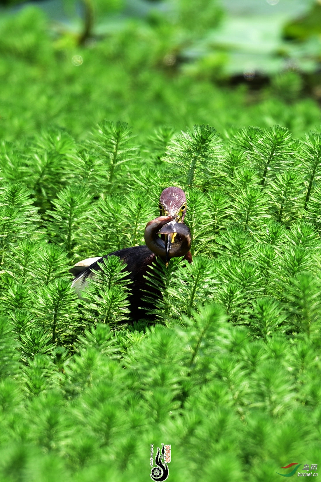 DSC_5448.JPG