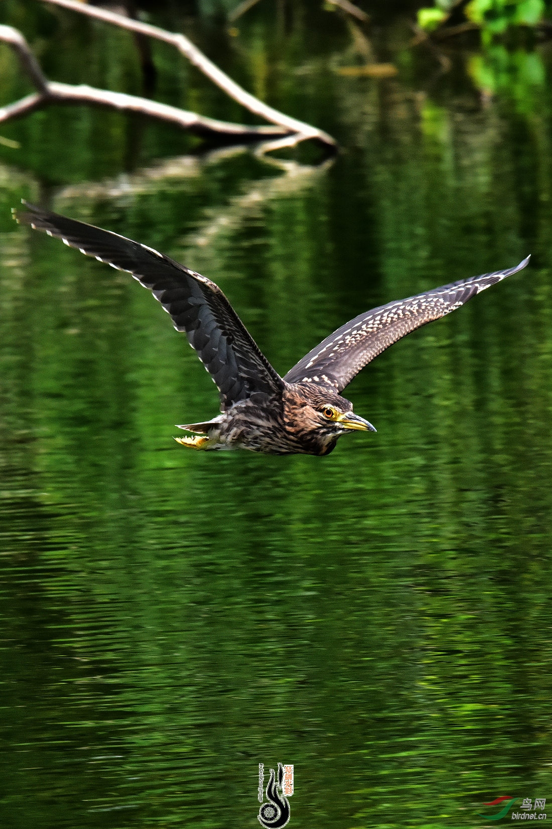 DSC_5459.JPG