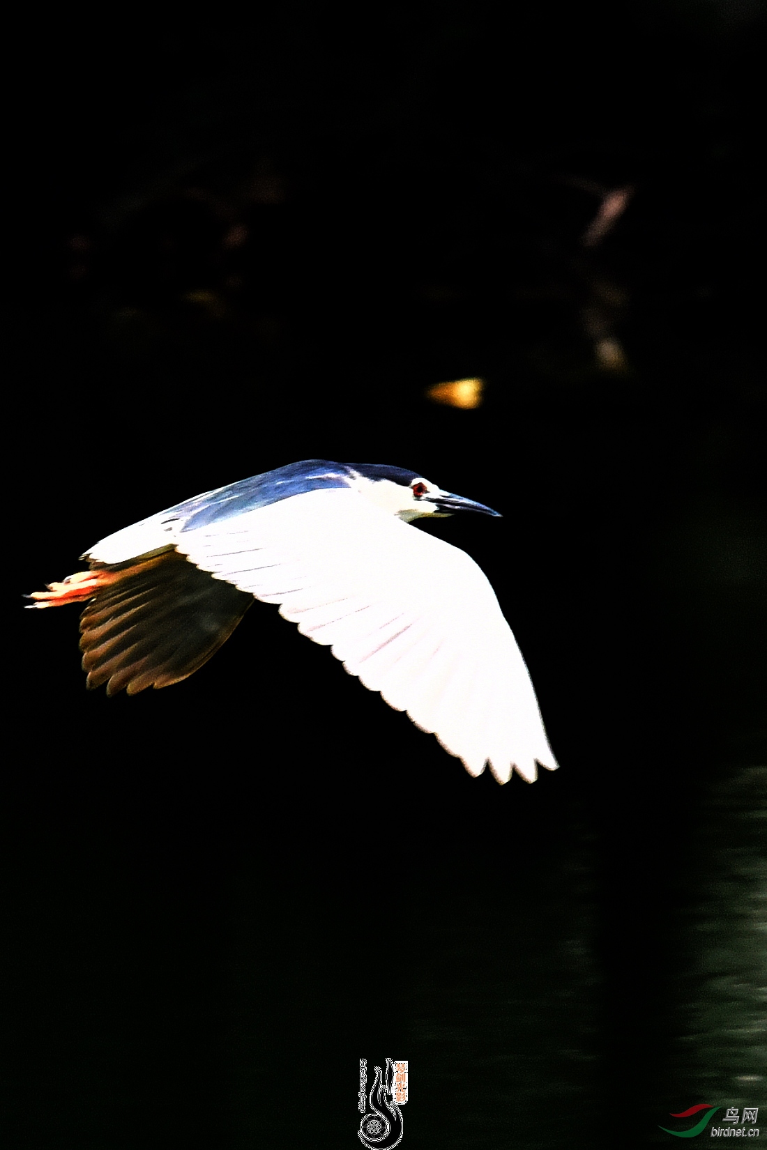 DSC_5462.JPG