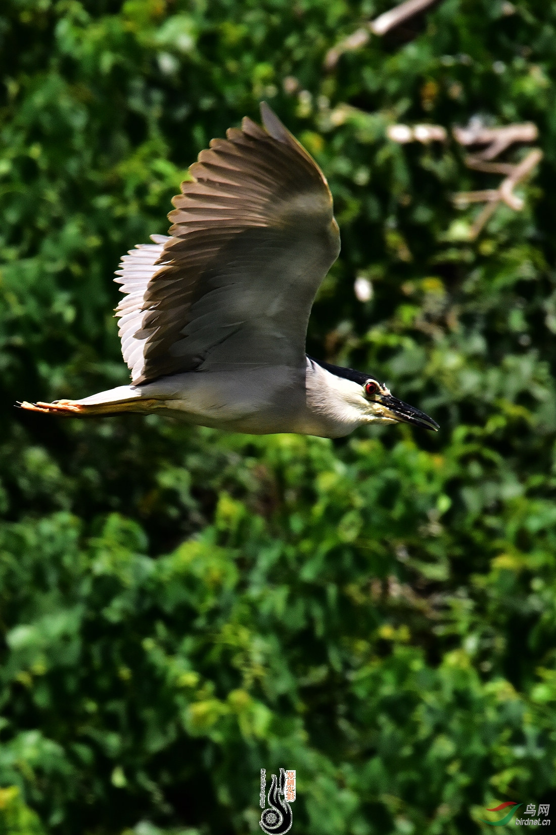 DSC_5509.JPG