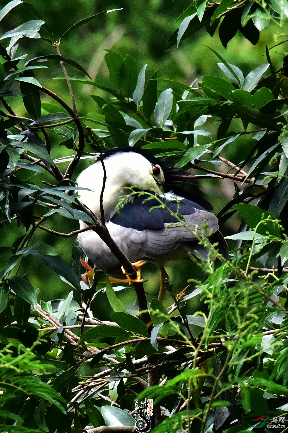 DSC_5518.JPG