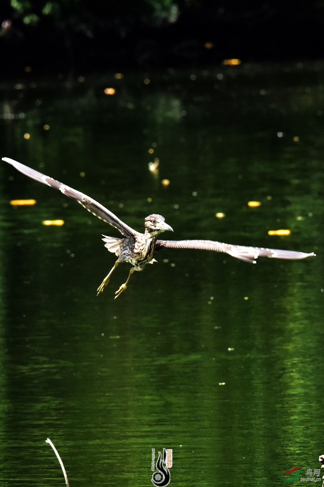 DSC_5537.JPG