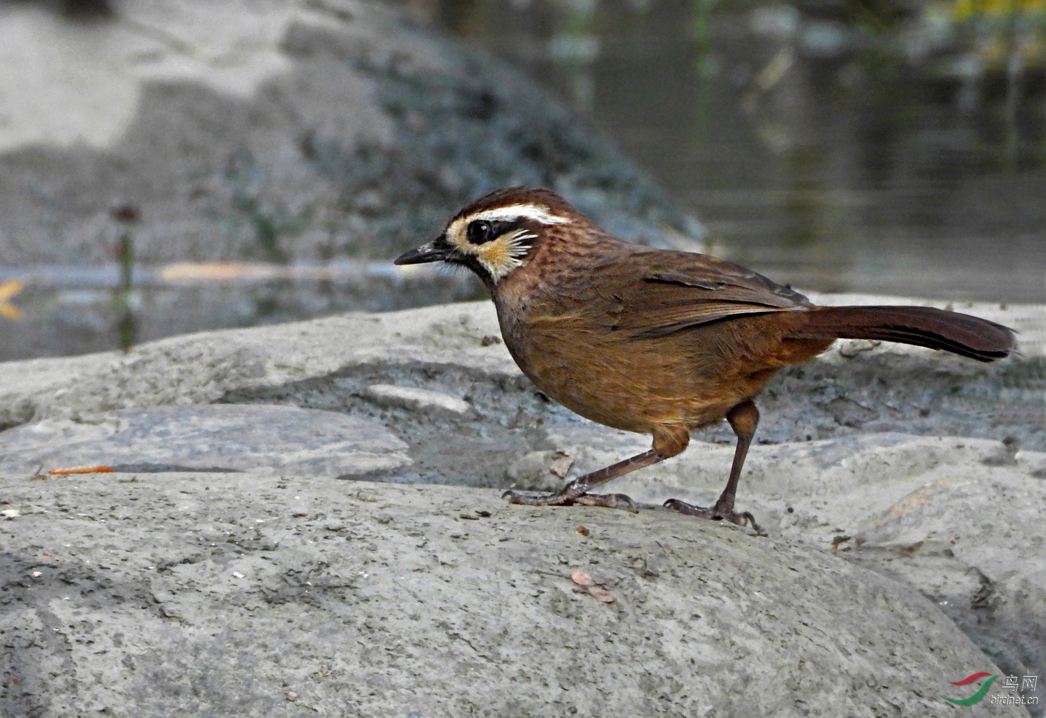 DSCN5343 ����2.jpg