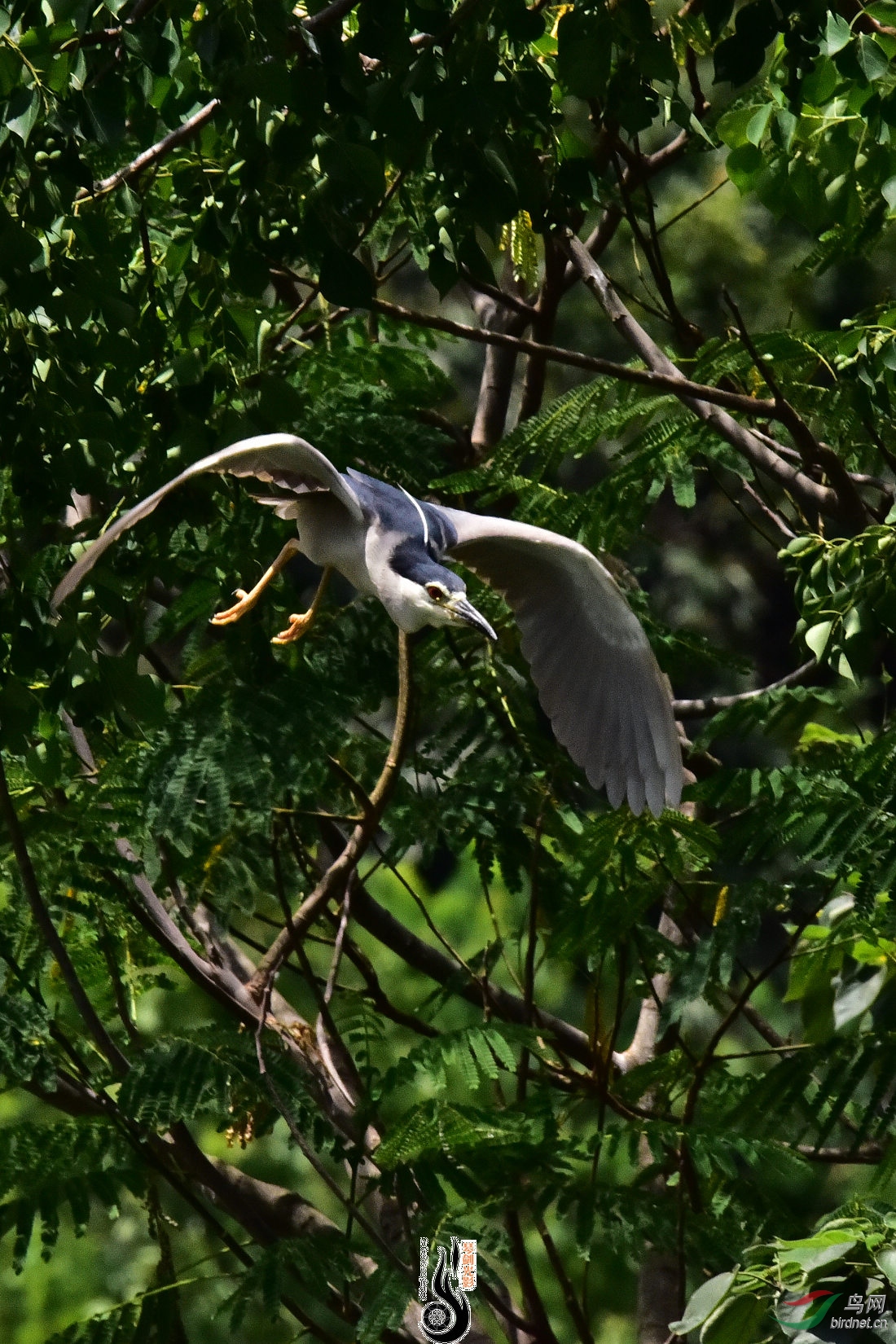 DSC_5557.JPG