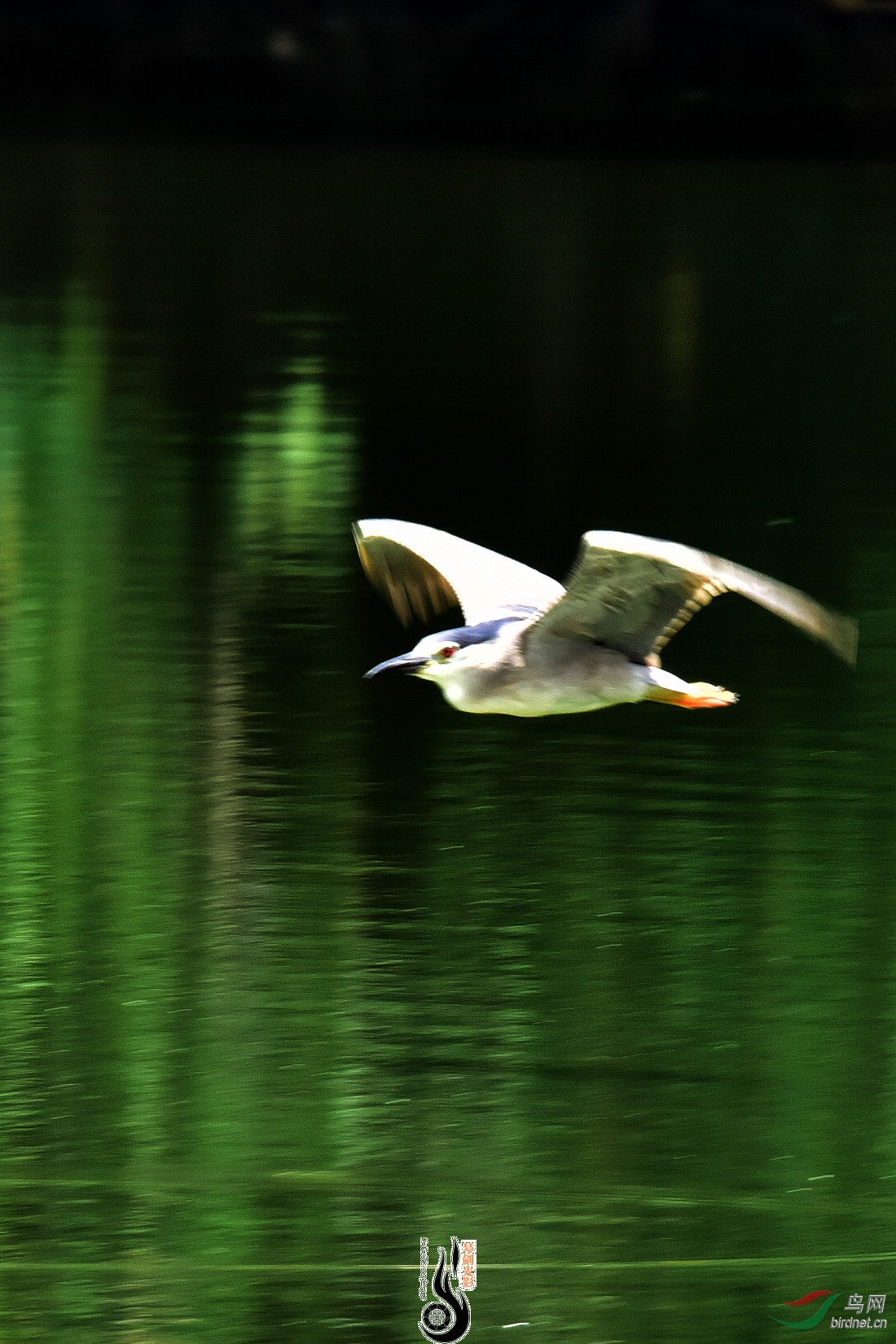 DSC_5673.JPG