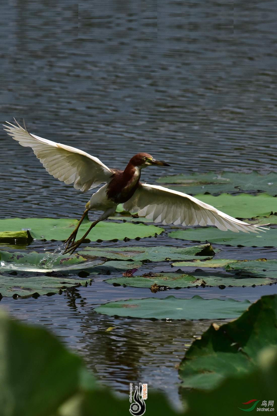 DSC_5734.JPG