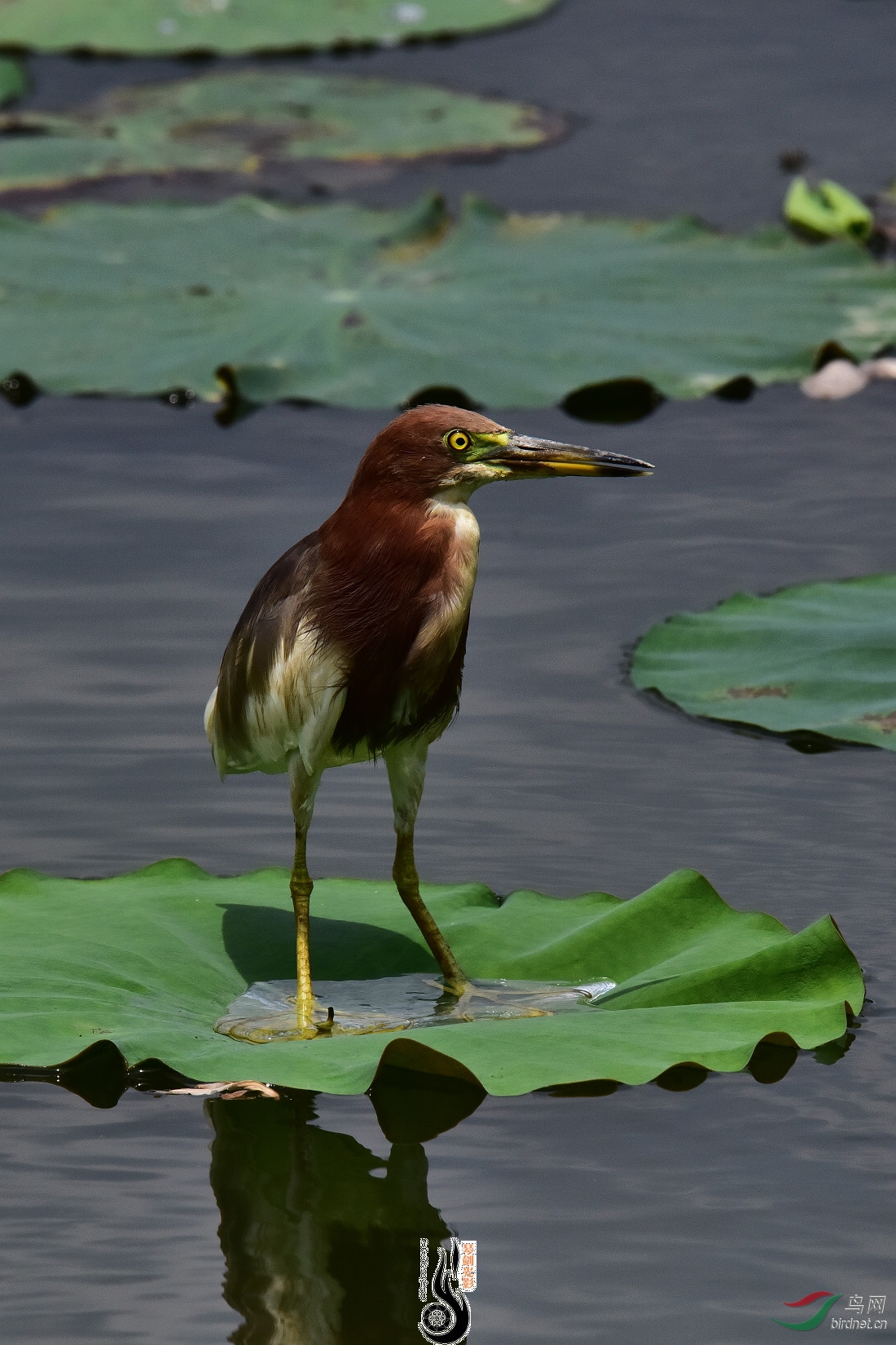 DSC_5741.JPG