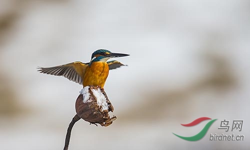 ET2W0881.jpg