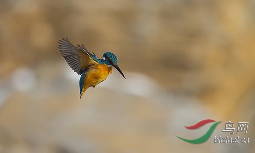 ET2W0901.jpg