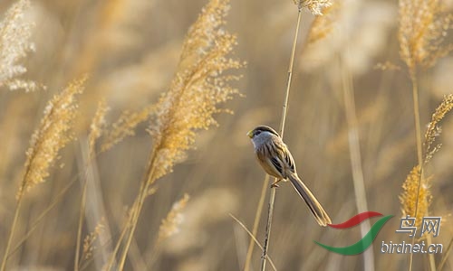 AM3T1345.jpg
