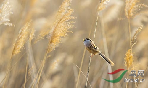 AM3T1355.jpg