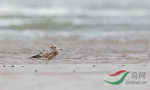 AM3T5352.jpg~s.jpg