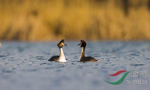 ET2W0133.jpg